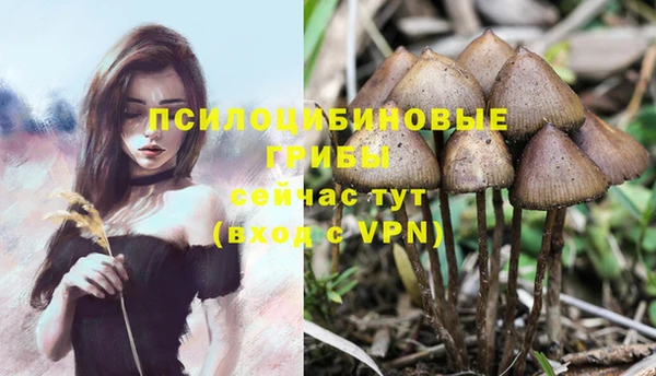 дистиллят марихуана Баксан