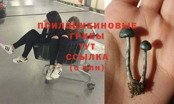 круглые Балахна
