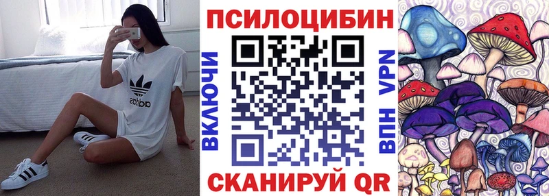 Псилоцибиновые грибы GOLDEN TEACHER  Купить закладки  Томари 