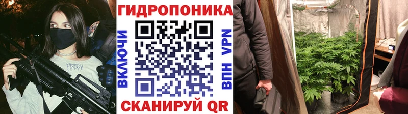 Бошки марихуана Bruce Banner  Купить где  Томари 